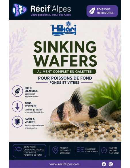 Hikari Sinking Wafers ( vendu au gramme )