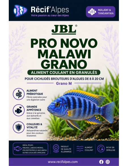 JBL Pronovo Malawi Grano M ( vendu au gramme )