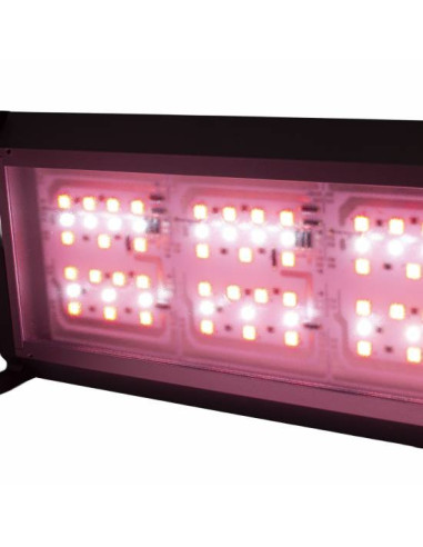 Aquavie - Lumivie F90