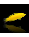HALICHOERES CHRYSUS