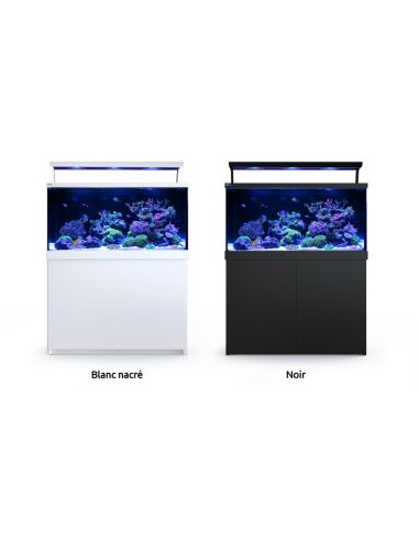 Max® S-650 LED - 4 ReefLED - Noir