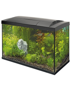 SF START 70 TROPICAL KIT 2