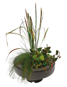 SF PANIER PLANTE FLOTTANT Ø 22 CM