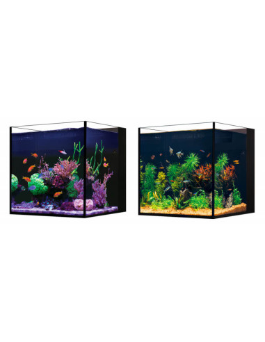 Red Sea Desktop® Cube complet - Noir