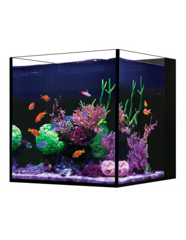 Red Sea Desktop® Cube complet - Noir