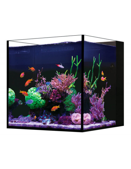Red Sea Desktop® Cube complet - Noir