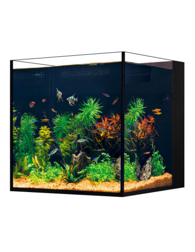 Red Sea Desktop® Cube complet - Noir