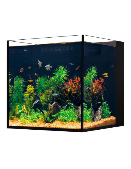 Red Sea Desktop® Cube complet - Noir