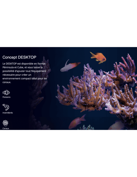 Red Sea Desktop® Cube complet - Noir