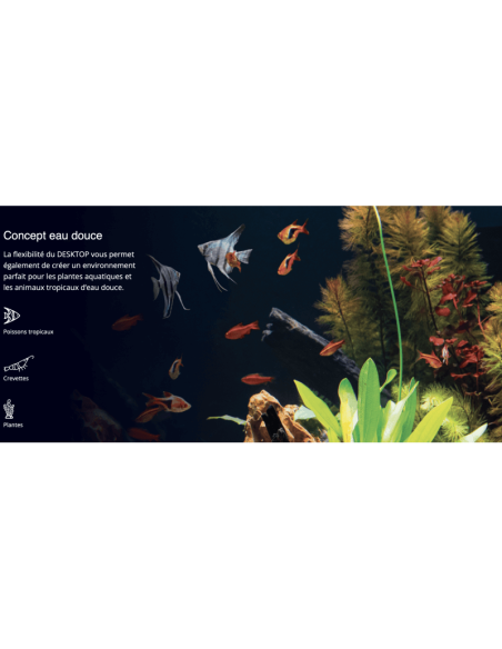 Red Sea Desktop® Cube complet - Noir