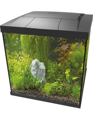 copia de copia de SF START 30 TROPICAL KIT