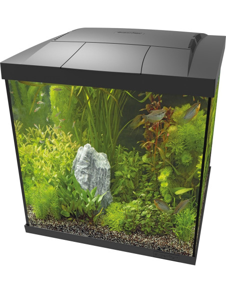 copia de copia de SF START 30 TROPICAL KIT