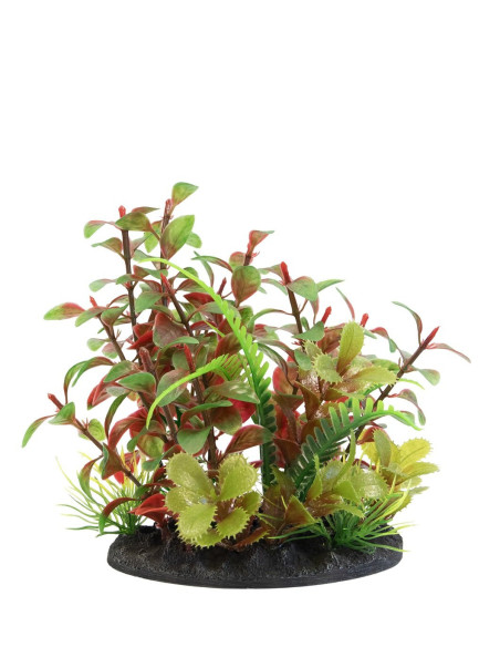 SF DECO PLANT S NR 2