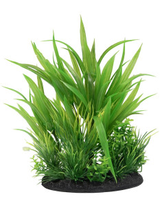 SF DECO PLANT S NR 6