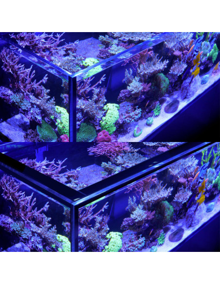 Red Sea Reefer™ 425 G3 Noir (Aquarium + meuble)