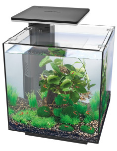 copia de copia de Aquarium QUBIQ 15 Noir 2