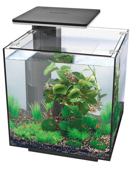 copia de copia de Aquarium QUBIQ 15 Noir