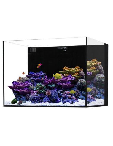 Marine AIO 35.2 Noir WATERBOX - Aquarium Marin 125 L