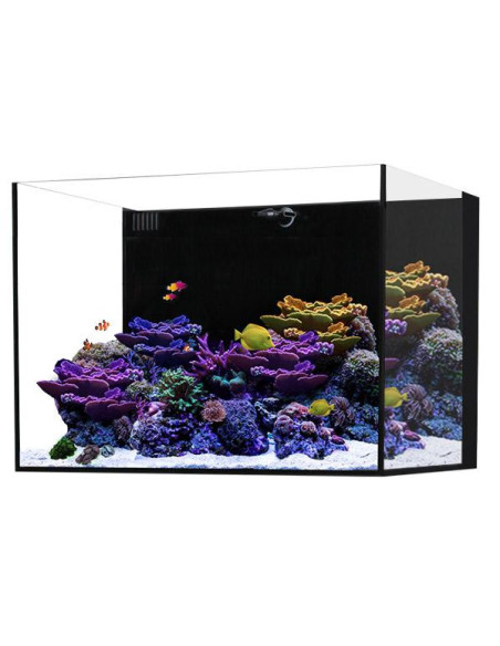 Marine AIO 35.2 Noir WATERBOX - Aquarium Marin 125 L