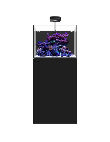Marine AIO 35.2 Noir WATERBOX - Aquarium Marin 125 L