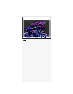 Marine AIO 35.2 Blanc WATERBOX - Aquarium Marin 125 L 2