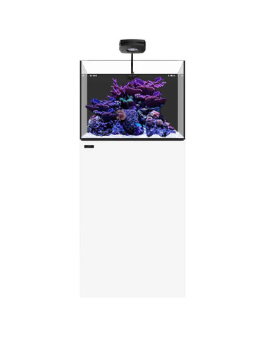 Marine AIO 35.2 Blanc WATERBOX - Aquarium Marin 125 L