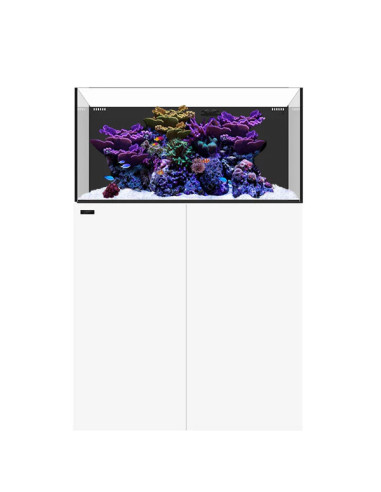Marine AIO 50.3 Blanc WATERBOX - Aquarium Marin 186 L