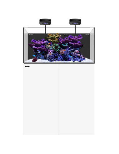 Marine AIO 50.3 Blanc WATERBOX - Aquarium Marin 186 L