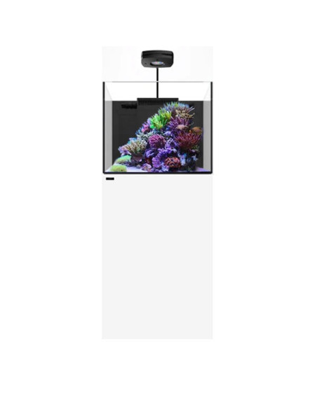 Marine X 60.2 Blanc WATERBOX - Aquarium Marin 136 L