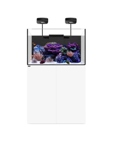 copia de copia de copia de copia de copia de copia de copia de copia de copia de copia de copia de copia de copia de copia de WA