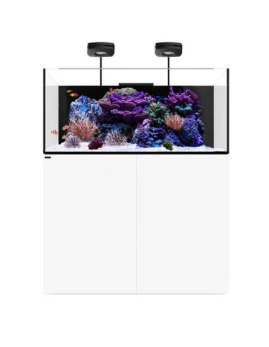 Marine X 110.4 Blanc WATERBOX - Aquarium Marin 300 L