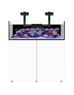 Infinia Frag 125.4 Blanc WATERBOX - Aquarium Récifal 295 L