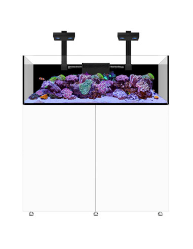 Infinia Frag 125.4 Blanc WATERBOX - Aquarium Récifal 295 L