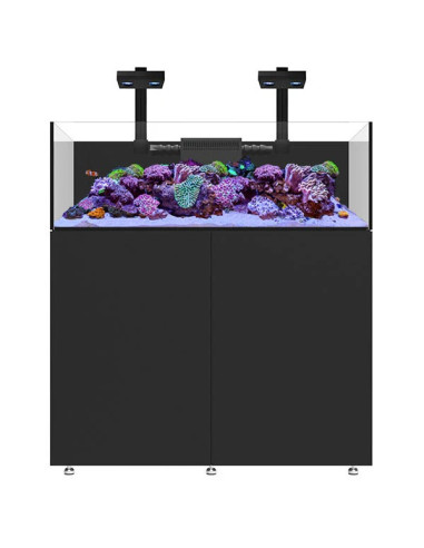 Infinia Frag 125.4 Noir WATERBOX - Aquarium Récifal 295 L