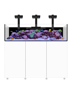 Infinia Frag 155.5 Blanc WATERBOX - Aquarium Récifal 370 L