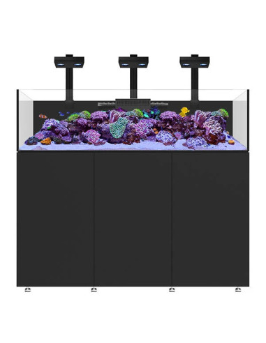 Infinia Frag 155.5 Noir WATERBOX - Aquarium Récifal 370 L