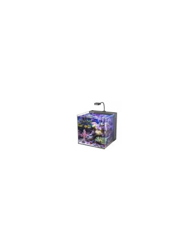 copy of AQUA MEDIC Armatus XS - Micro aquarium