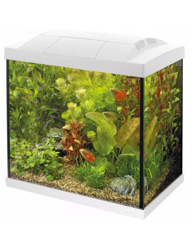 copia de SF START 30 TROPICAL KIT NOIR