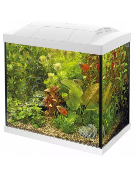 copia de SF START 30 TROPICAL KIT NOIR