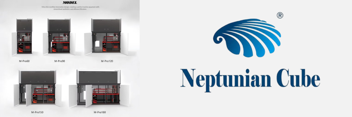 neptunian