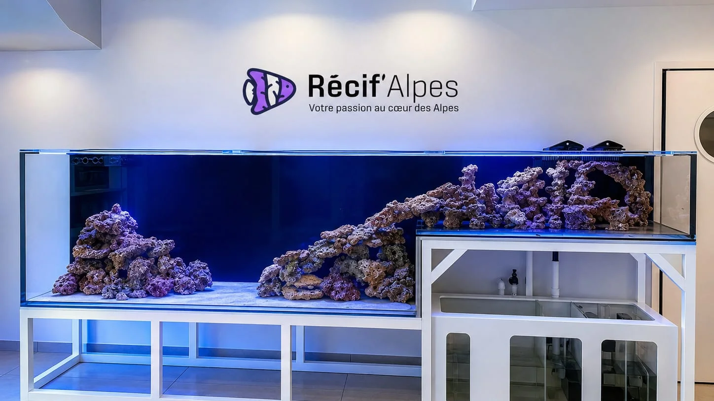 Aquarium récifal sur mesure avec châssis et décantation